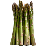 gerassparagas
