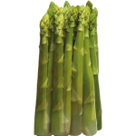 gerassparagas