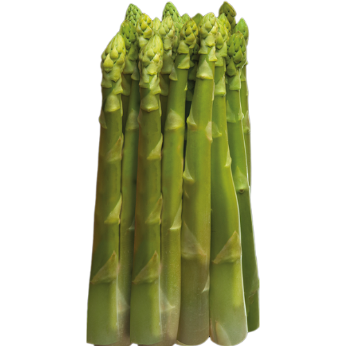 gerassparagas