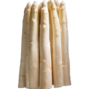 gerassparagas