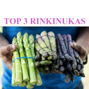 A+ klasės Šparagų (smidrų) daigų RINKINYS TOP 3 veislės